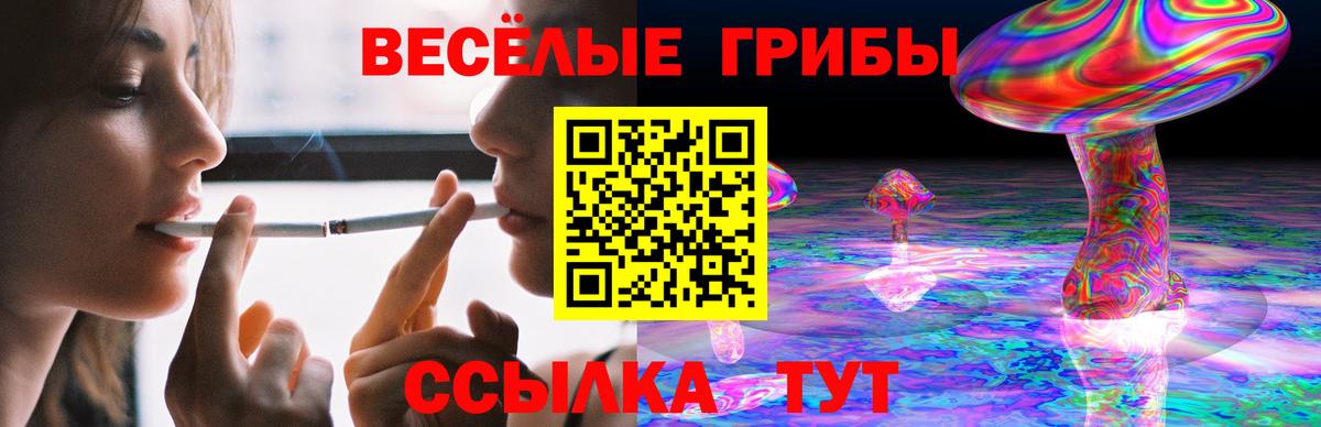 закладка  Галлюциногенные грибы MAGIC MUSHROOMS  Вход с VPN  Кубинка 