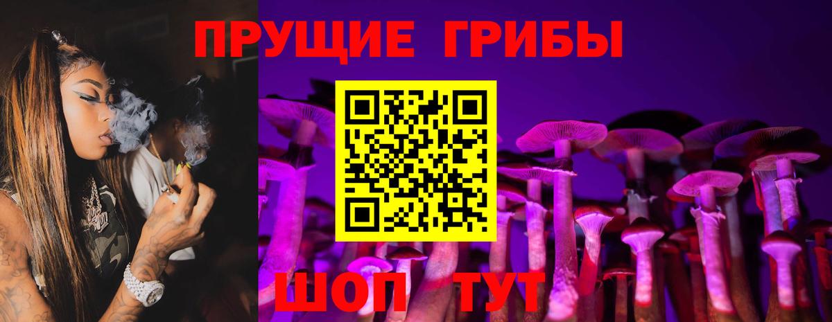 Галлюциногенные грибы Psilocybe Кубинка